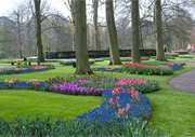 Keukenhof